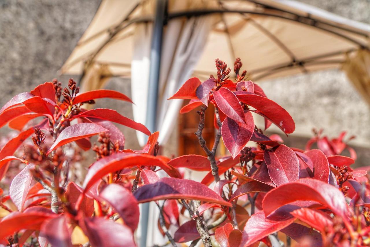 Agriturismo Casa Da Pietro Poggio Alla Croce Luaran gambar