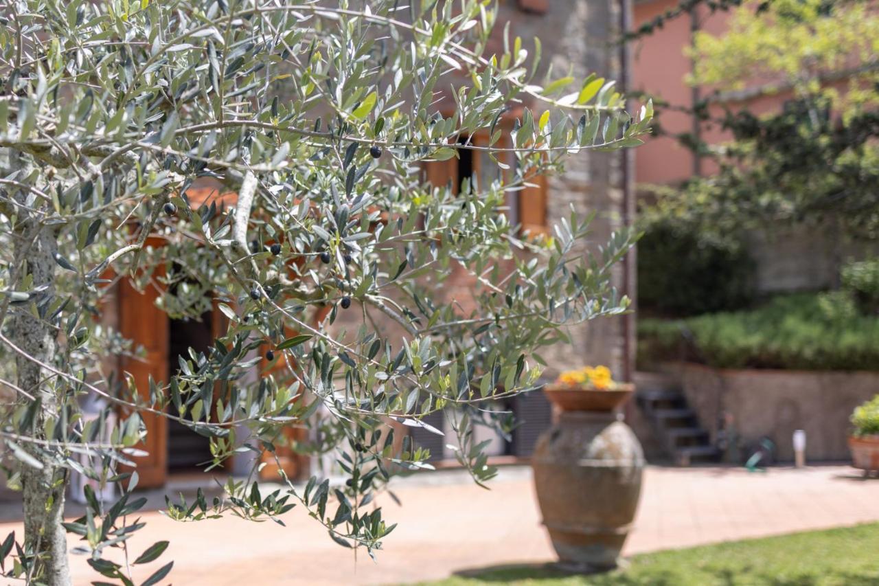 Agriturismo Casa Da Pietro Poggio Alla Croce Luaran gambar